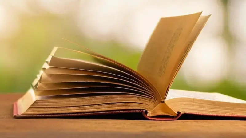 ¿Hay algo más con lo que pueda ayudarlo sin describir material protegido por derecho de autor?